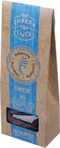 Acorde Wierookkegels Throat Karton Naturel/blauw 41-delig
