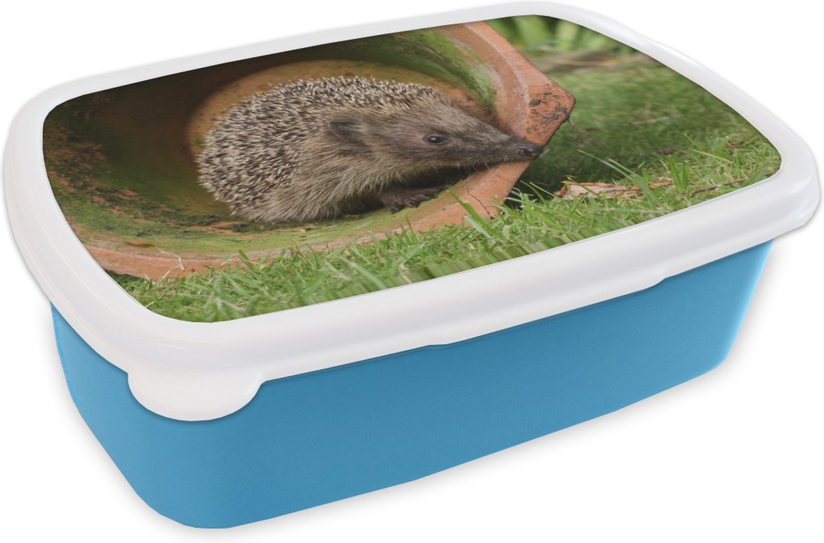 Broodtrommel Blauw - Lunchbox - Brooddoos - Egel in een pot - 18x12x6 cm - Kinderen - Jongen