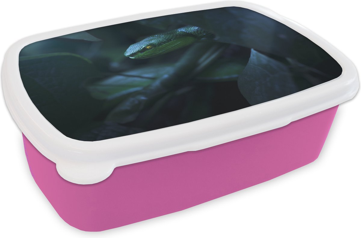 Broodtrommel Roze - Lunchbox - Brooddoos - Slang - Macro - Hout - 18x12x6 cm - Kinderen - Meisje
