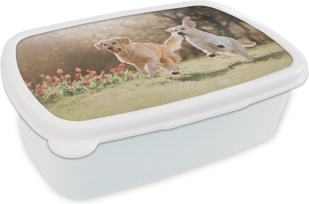 Broodtrommel Wit - Lunchbox - Brooddoos - Honden - Zon - Lente - 18x12x6 cm - Volwassenen