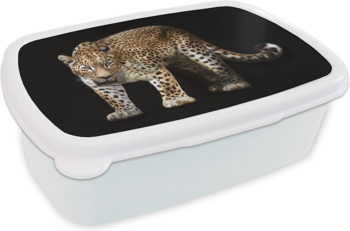 Broodtrommel Wit - Lunchbox - Brooddoos - Luipaard - Wild - Zwart - 18x12x6 cm - Volwassenen