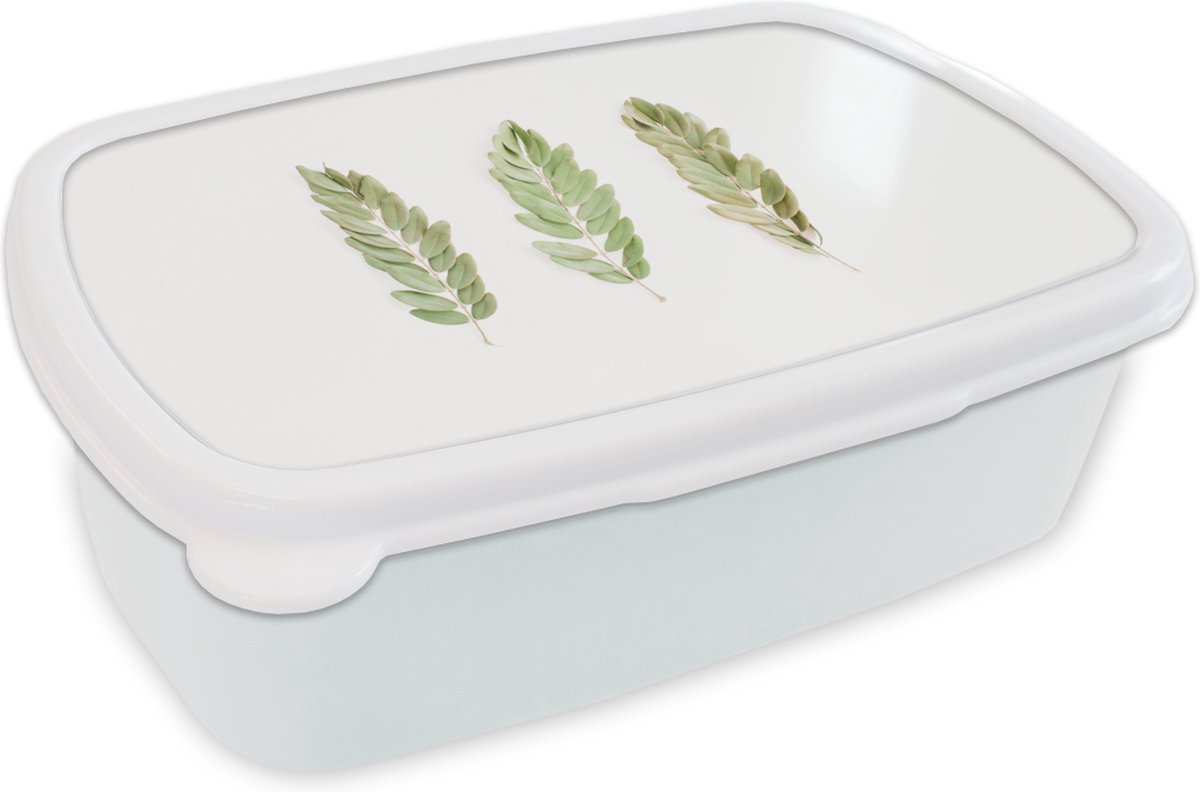 Broodtrommel Wit - Lunchbox - Brooddoos - Tropisch - Blad - Wit - 18x12x6 cm - Volwassenen