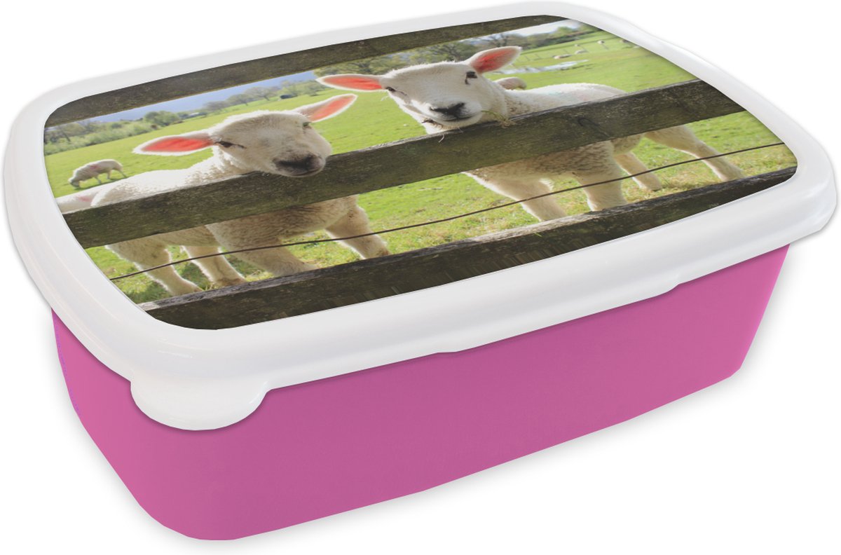 Broodtrommel Roze - Lunchbox - Brooddoos - Schapen- Hout - Lam - 18x12x6 cm - Kinderen - Meisje