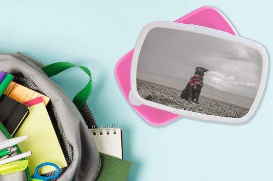 Lunch box Rose - Lunch box - Boîte à pain - Chien - Plage - Nuage - 18x12x6 cm - Enfants - Fille
