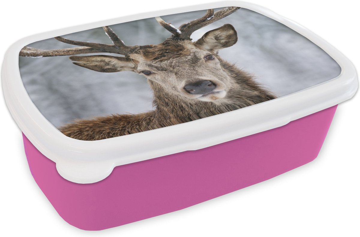 Broodtrommel Roze - Lunchbox - Brooddoos - Hert - Gewei - Sneeuw - 18x12x6 cm - Kinderen - Meisje