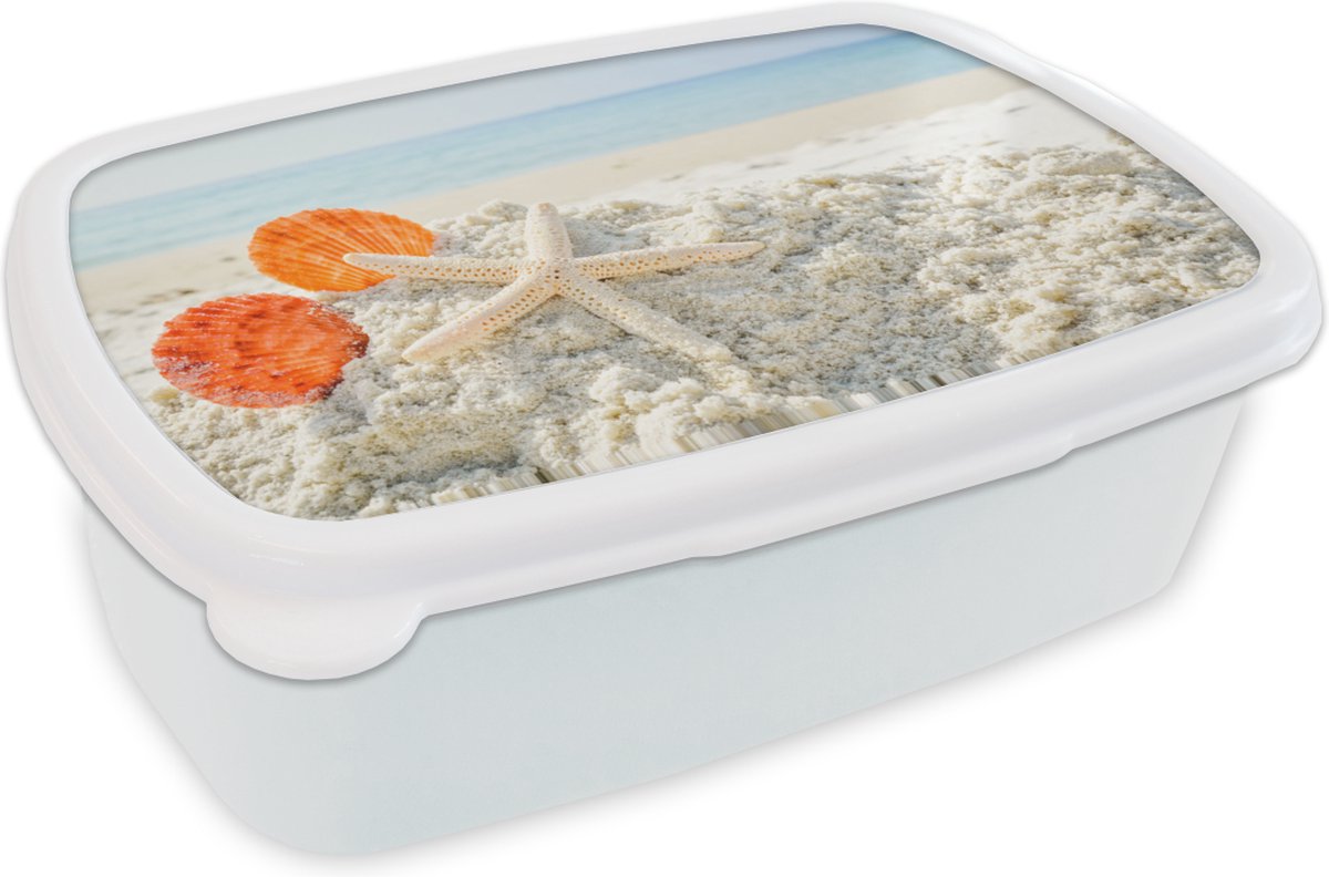 Broodtrommel Wit - Lunchbox - Brooddoos - Schelpen - Zeester - Zand - 18x12x6 cm - Volwassenen
