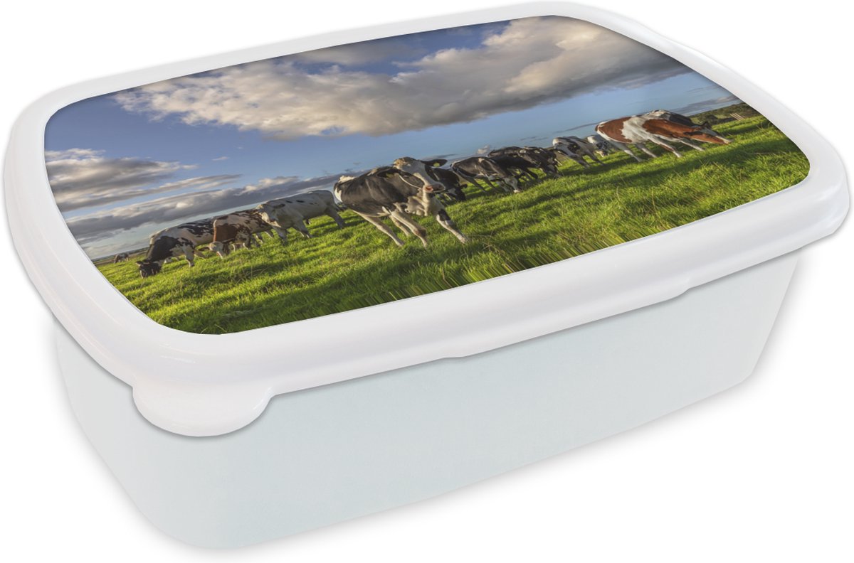 Broodtrommel Wit - Lunchbox - Brooddoos - Koeien - Licht - Gras - 18x12x6 cm - Volwassenen