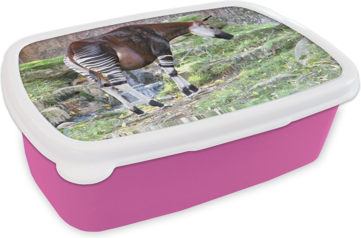 Broodtrommel Roze - Lunchbox - Brooddoos - Okapi in de natuur - 18x12x6 cm - Kinderen - Meisje