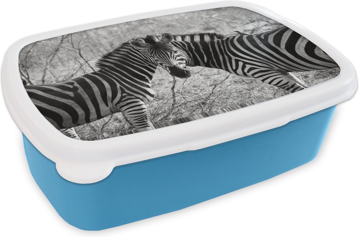 Broodtrommel Blauw - Lunchbox - Brooddoos - Twee zebra's - 18x12x6 cm - Kinderen - Jongen