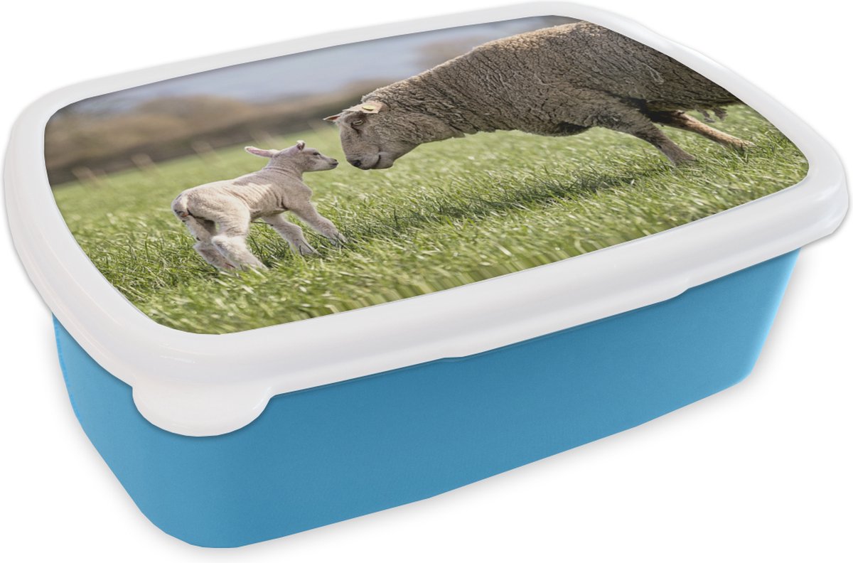 Broodtrommel Blauw - Lunchbox - Brooddoos - Schaap - Gras - Lam - 18x12x6 cm - Kinderen - Jongen