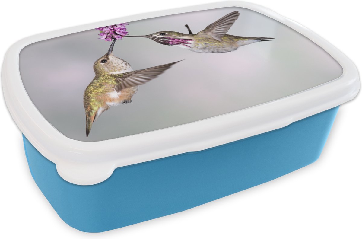 Broodtrommel Blauw - Lunchbox - Brooddoos - Kolibrie - Bloem - Roze - 18x12x6 cm - Kinderen - Jongen
