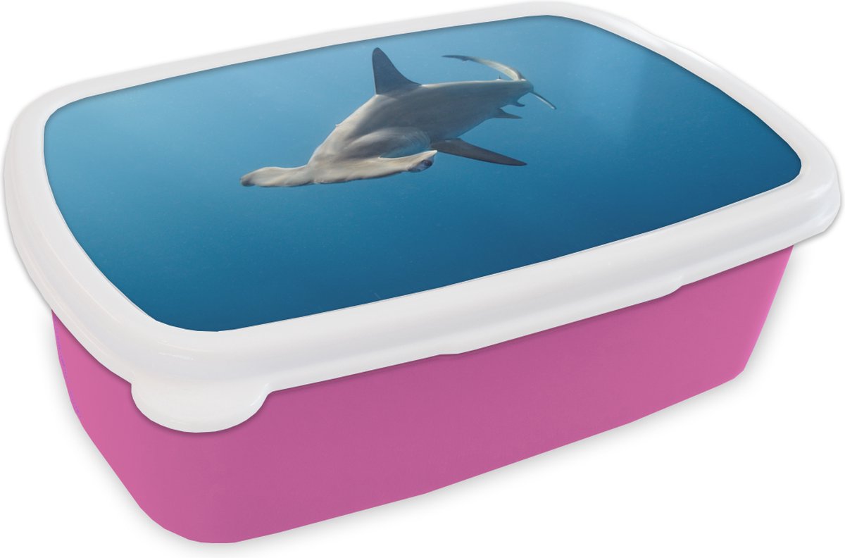 Broodtrommel Roze - Lunchbox - Brooddoos - Hamerhaai - 18x12x6 cm - Kinderen - Meisje