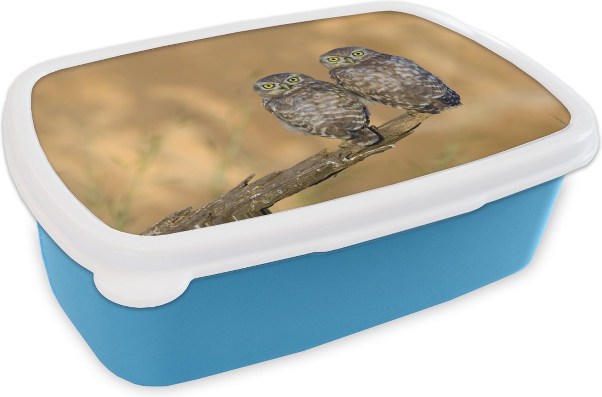 Broodtrommel Blauw - Lunchbox - Brooddoos - Uilen paar - 18x12x6 cm - Kinderen - Jongen