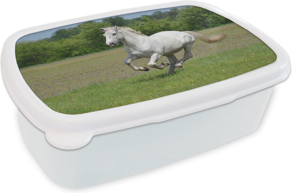 Broodtrommel Wit - Lunchbox - Brooddoos - Paarden - Natuur - Wit - 18x12x6 cm - Volwassenen