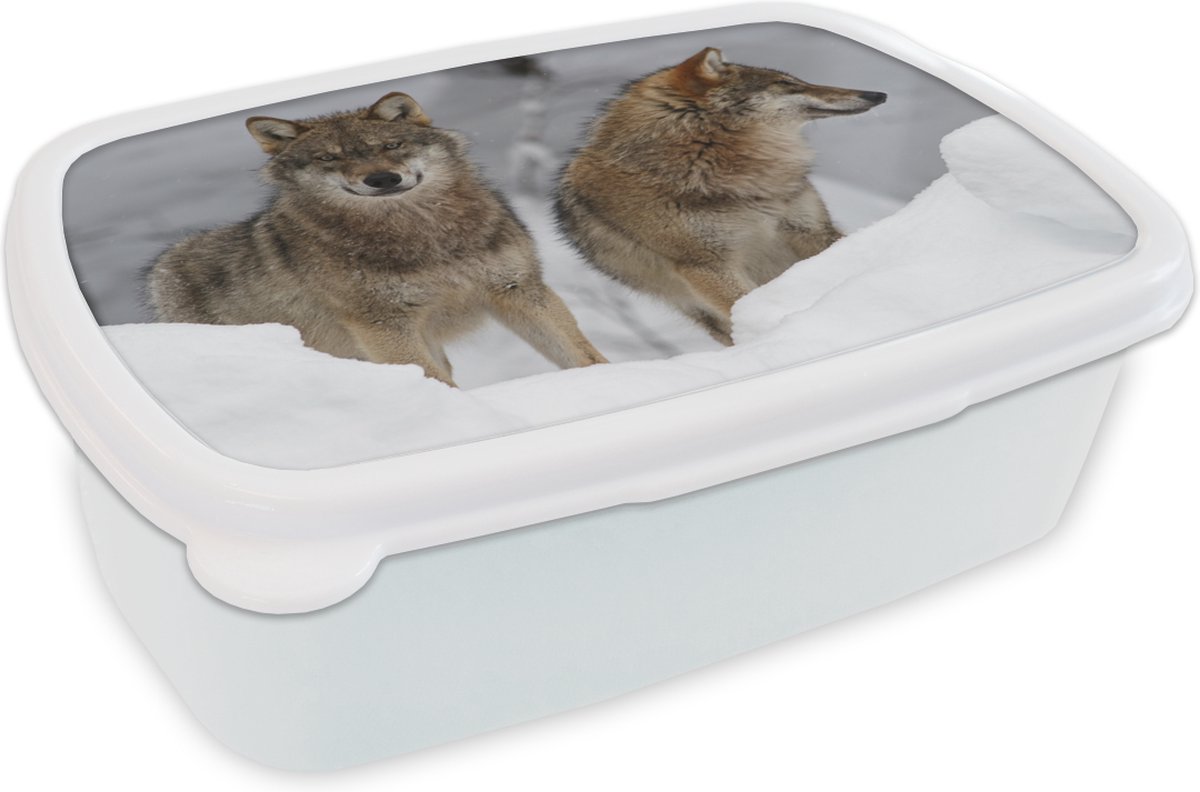 Broodtrommel Wit - Lunchbox - Brooddoos - Wolf - Sneeuw - Dieren - 18x12x6 cm - Volwassenen