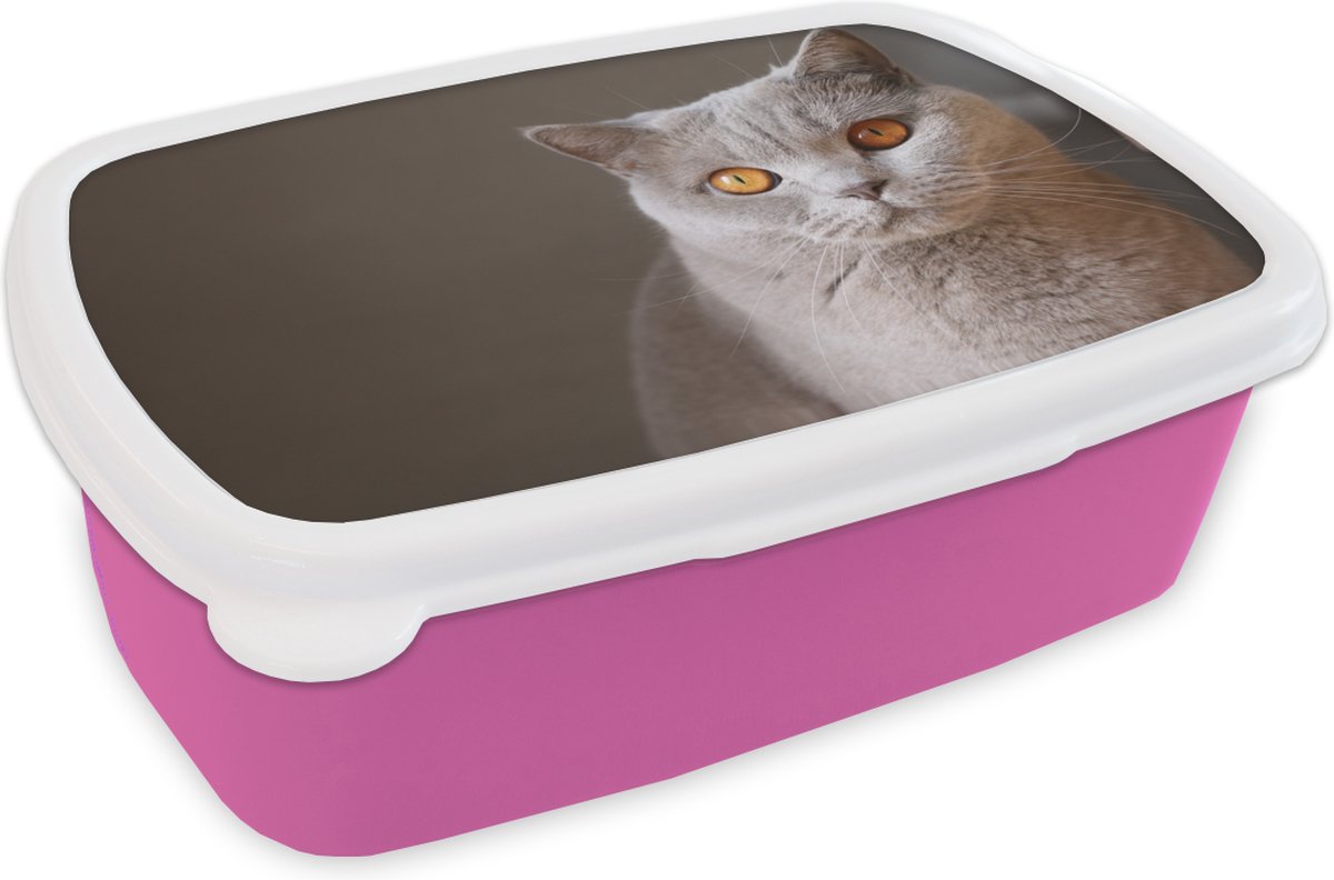 Broodtrommel Roze - Lunchbox - Brooddoos - Kat - Dieren - Ogen - 18x12x6 cm - Kinderen - Meisje