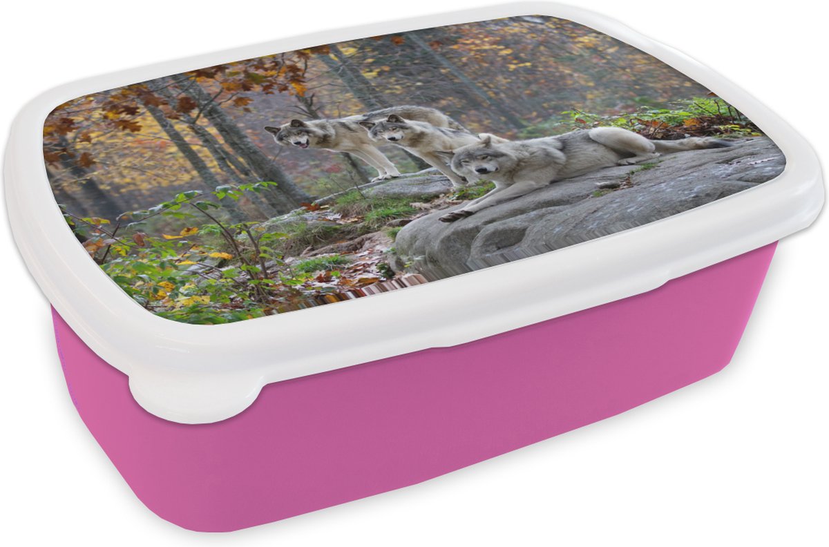 Broodtrommel Roze - Lunchbox - Brooddoos - Wolf - Herfst - Bos - 18x12x6 cm - Kinderen - Meisje