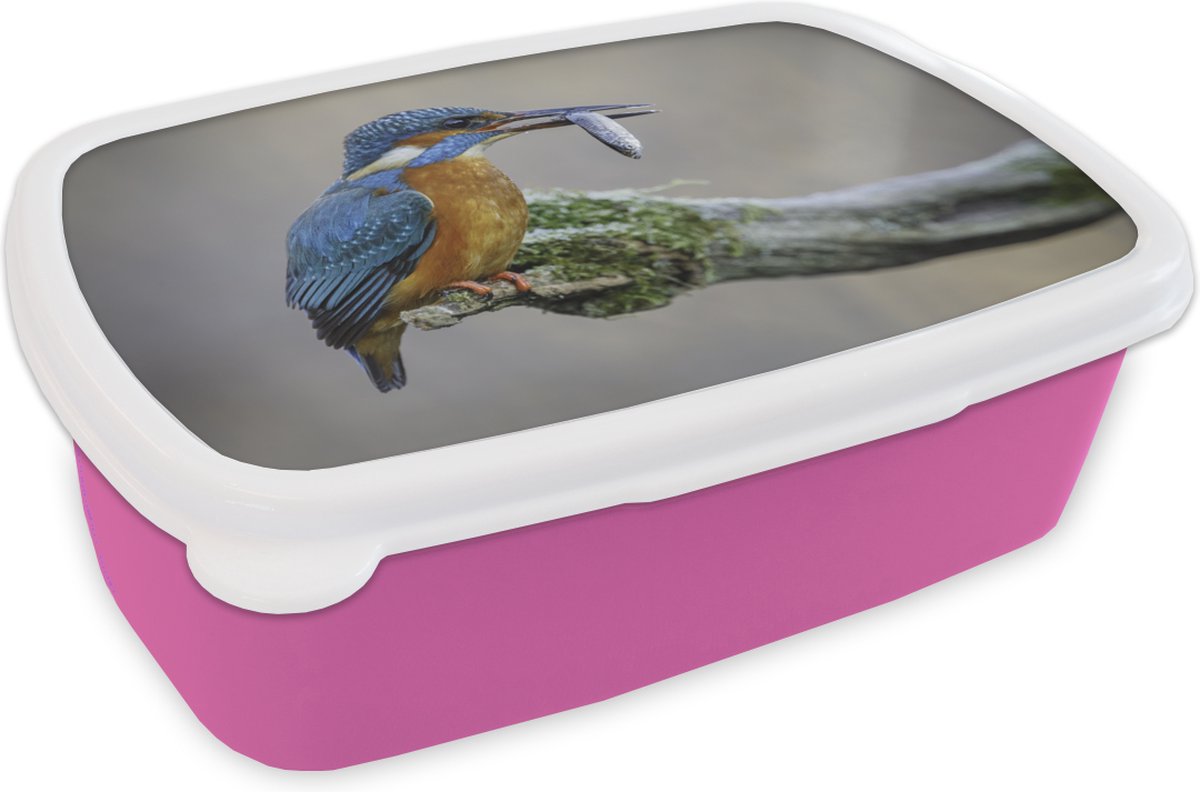 Broodtrommel Roze - Lunchbox - Brooddoos - IJsvogel - Vis - Dier - 18x12x6 cm - Kinderen - Meisje