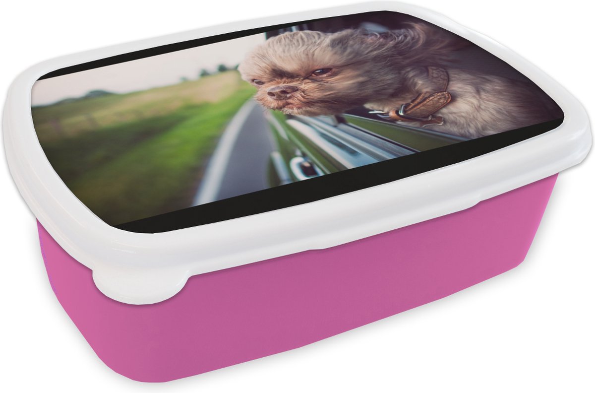 Broodtrommel Roze - Lunchbox - Brooddoos - Hond - Auto - Dier - 18x12x6 cm - Kinderen - Meisje