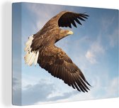 Canvas Schilderij Vliegende Europese zeearend - 40x30 cm - Wanddecoratie