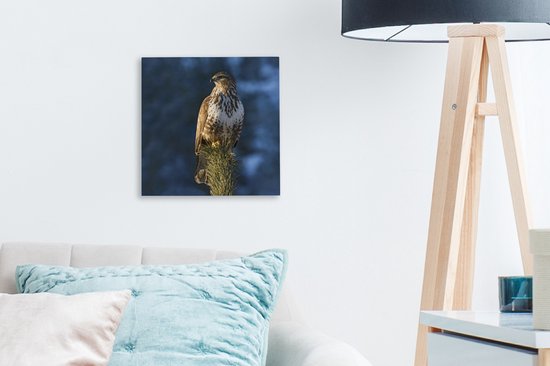 Une buse est assise sur une branche de pin et donne sur les paysages du Tyrol Toile 20x20 cm - petit - Tirage photo sur toile (Décoration murale salon / chambre)