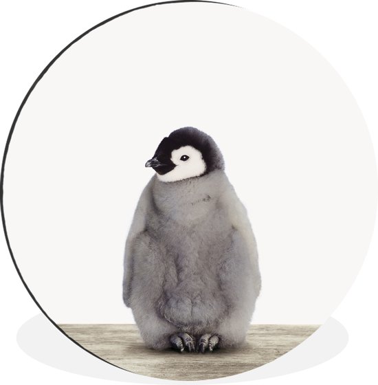 Cercle mural de chambre d'enfant imprimé animal Bébé pingouin aluminium ⌀  60 cm 