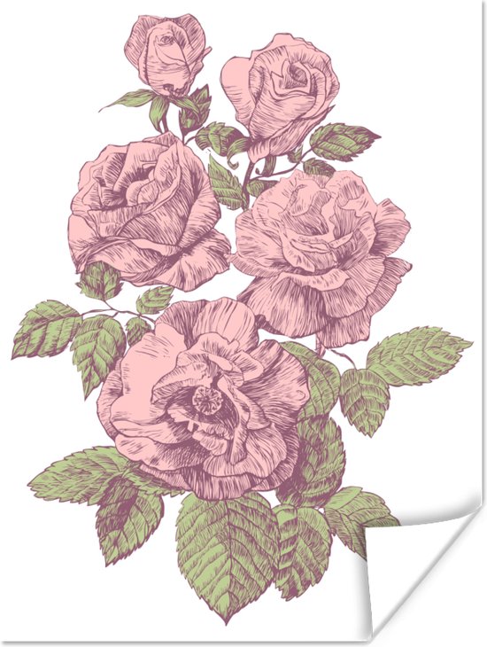 Affiche Fleurs - Roses - Vintage - 90x120 cm