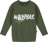 KMDB Sweater Echo Wildebras maat 86