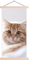 Porte-affiche avec affiche - Affiche scolaire - Chat - Rouge - Lit - Filles - Enfants - Garçons - Kids - 90x180 cm - lattes vierges