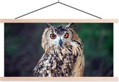 Porte-affiche avec affiche - Affiche scolaire - Hibou grand-duc - 120x60 cm - Lattes vierges