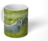 Mok - Koffiemok - Paarden - Vogel - Gras - Mokken - 350 ML - Beker - Koffiemokken - Theemok