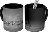 Magische Mok - Foto op Warmte Mok - Verliefde zebra's - zwart wit - 350 ML