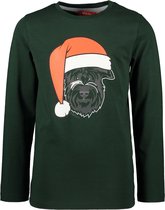 TYGO & vito jongens shirt Christmas Dog Green
