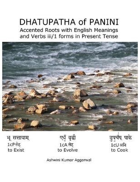 Dhatupatha of Panini - cover