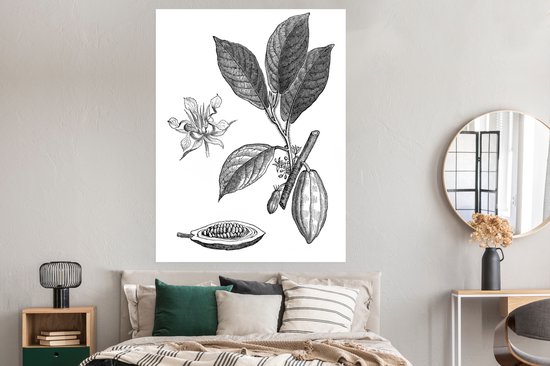Une illustration noir et blanc d'un poster de plant de cacao 120x160 cm - Tirage photo sur Poster (décoration murale salon / chambre) XXL / Groot format!