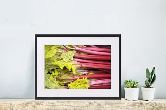 Gros plan de tiges de rhubarbe rouge avec des feuilles vert clair, encadré dans un cadre noir avec un passe-partout blanc.
