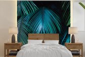 Behang - Fotobehang Palmbomen - Jungle - Bladeren - Breedte 220 cm x hoogte 220 cm