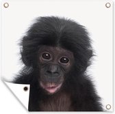 Tuinposters Chimpansee - Dieren - Roze - 50x50 cm - Tuindoek - Buitenposter