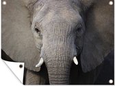Tuin decoratie Close-up van een olifant - 40x30 cm - Tuindoek - Buitenposter