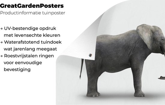 Décoration murale Eléphant sur fond blanc - 180x120 cm - Poster jardin - Toile jardin