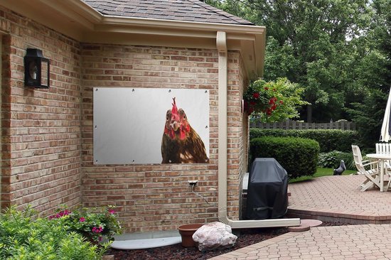Affiche de jardin gros plan coq 120x80 cm - Toile de jardin / Toile d'extérieur / Peintures d'extérieur (décoration de jardin)