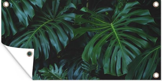 Tuinposter 160x80 cm - Tuindecoratie Jungle - Bladeren - Design - Poster voor in de tuin - Buiten decoratie - Schutting tuinschilderij - Tuindoek muurdecoratie - Wanddecoratie balkondoek