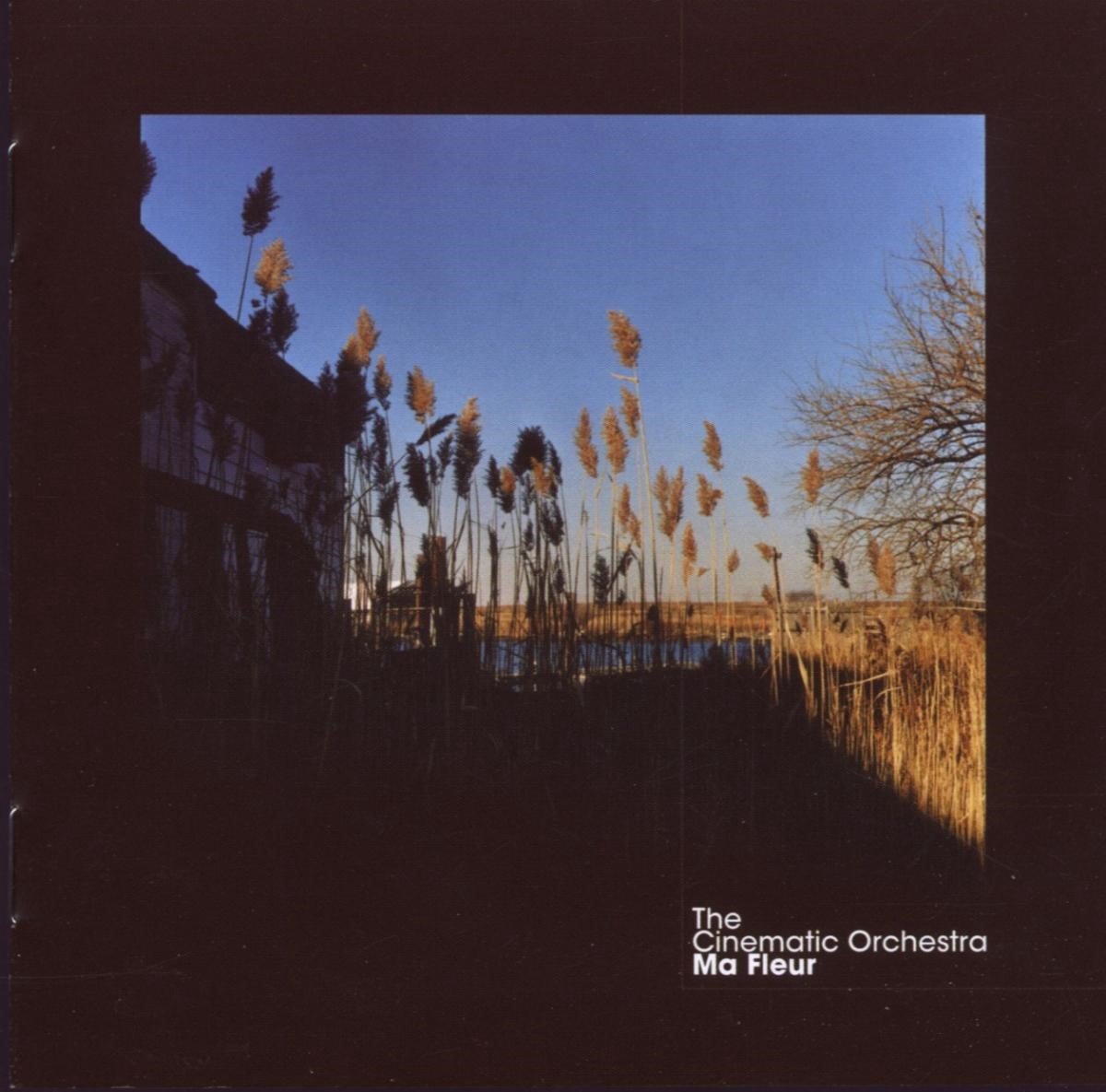 Cinematic Orchestra - Ma Fleur (CD)