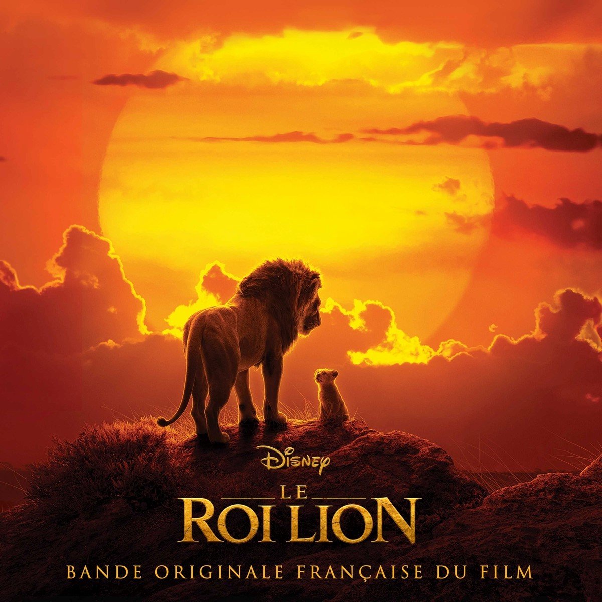 Various Artists - Le Roi Lion (Bande Originale Française Du Film) (CD)