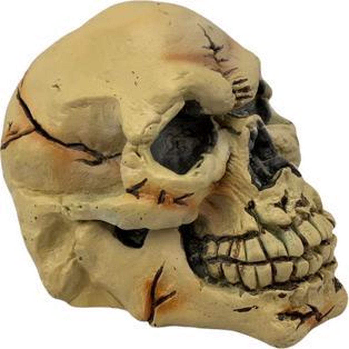 Halloween decoratie doodskop 22 cm