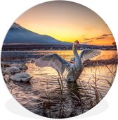 WallCircle - Wall Circle - Wall Circle Indoor - Cygnes - Ailes - Coucher de Soleil - 120x120 cm - Décoration murale - Peintures Ronds XXL