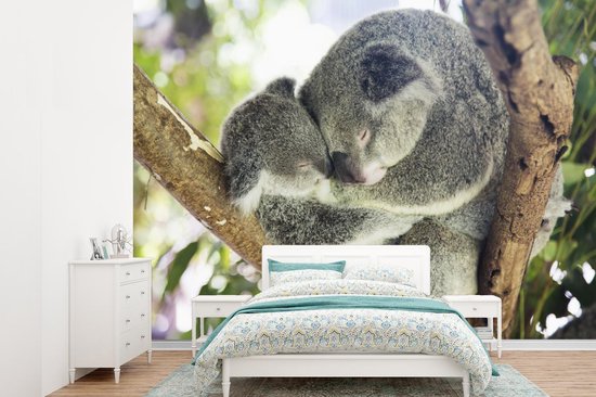 Papier peint - Papier peint photo - A koala enlacé - Largeur 385 cm x  hauteur 280 cm