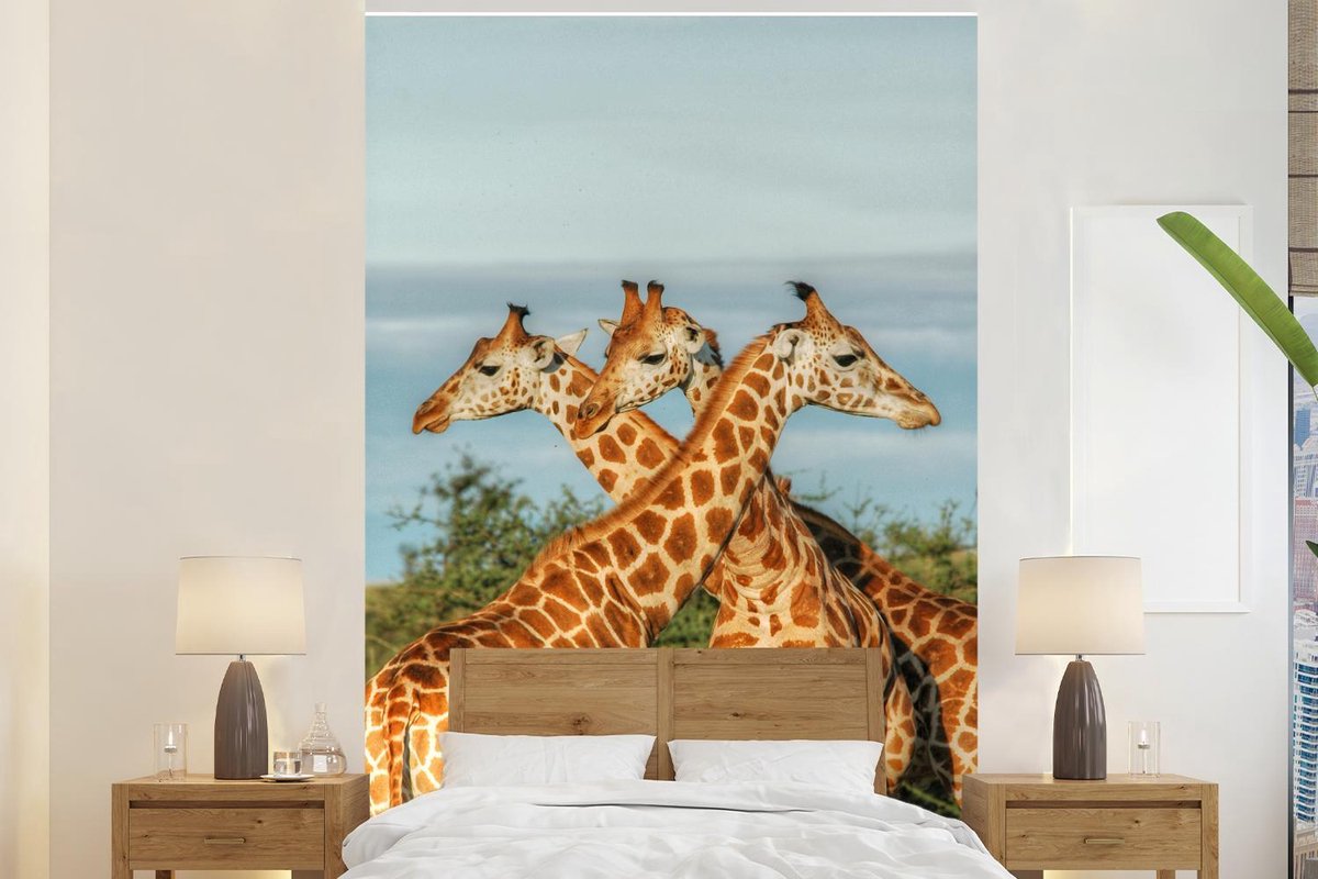 Behang - Fotobehang Giraffen - Lucht - Dieren - Breedte 200 cm x hoogte 300 cm
