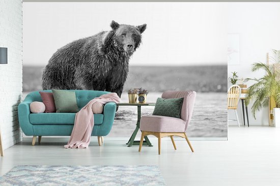 Papier Peint - Papier Papier peint photo Ours - Poisson - Water - Largeur 390 cm x Hauteur 260 cm