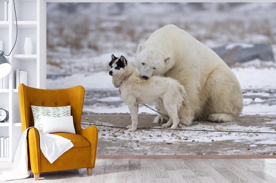 Amitié spéciale entre chien et ours polaire 360x240 cm